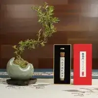 【菩香阁】海南沉水黑棋沉香无粘香—方条线香伴手礼10克小礼盒装
