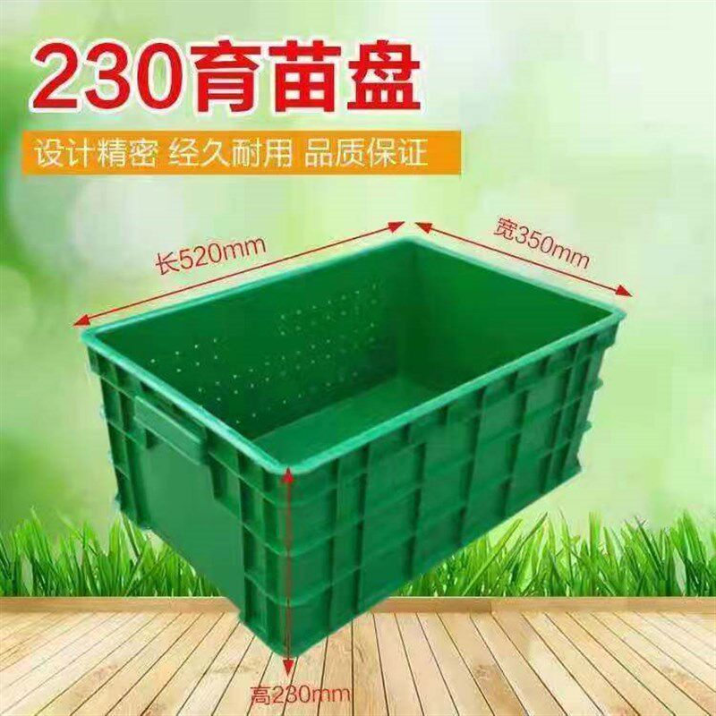 速发商用大号芽苗菜育苗盘豆芽筐豆芽商业专用箱蔬菜大规模种植盘