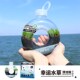 微景观漂a流瓶造景水草种子发芽生态瓶创意迷你盆水培儿童种植观