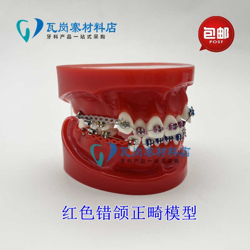 牙科正畸模型 透明错颌矫正展示模型 结扎丝托槽正U畸带支抗钉牙
