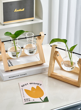 创意烧杯水培绿萝植物木质支架玻璃花瓶办公室桌面装饰品摆件好物