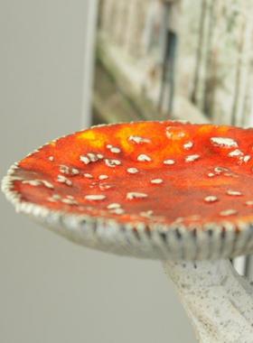 Mushroom Hanging Shelf Resin Wall Floating Shelf Amanita Mus