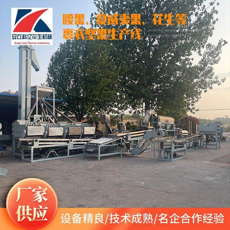 整套全自动腰果生产线 不锈钢脱壳剥壳清洗全流程 腰果生产设备,清洗/食品/商业设备,休闲食品加工设备,淘宝优惠券,粉丝福利购,淘宝优惠卷