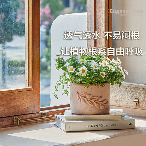 EV手工陶盆进口透气透水橄榄枝