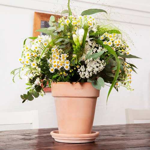 EV陶盆进口透气透水宽边高圆盆