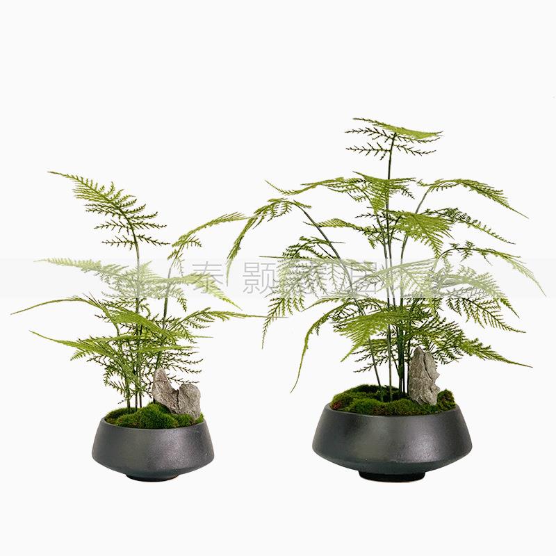 新中式花艺仿真绿植盆景样板房客厅售楼处玄关植物文竹盆栽摆件