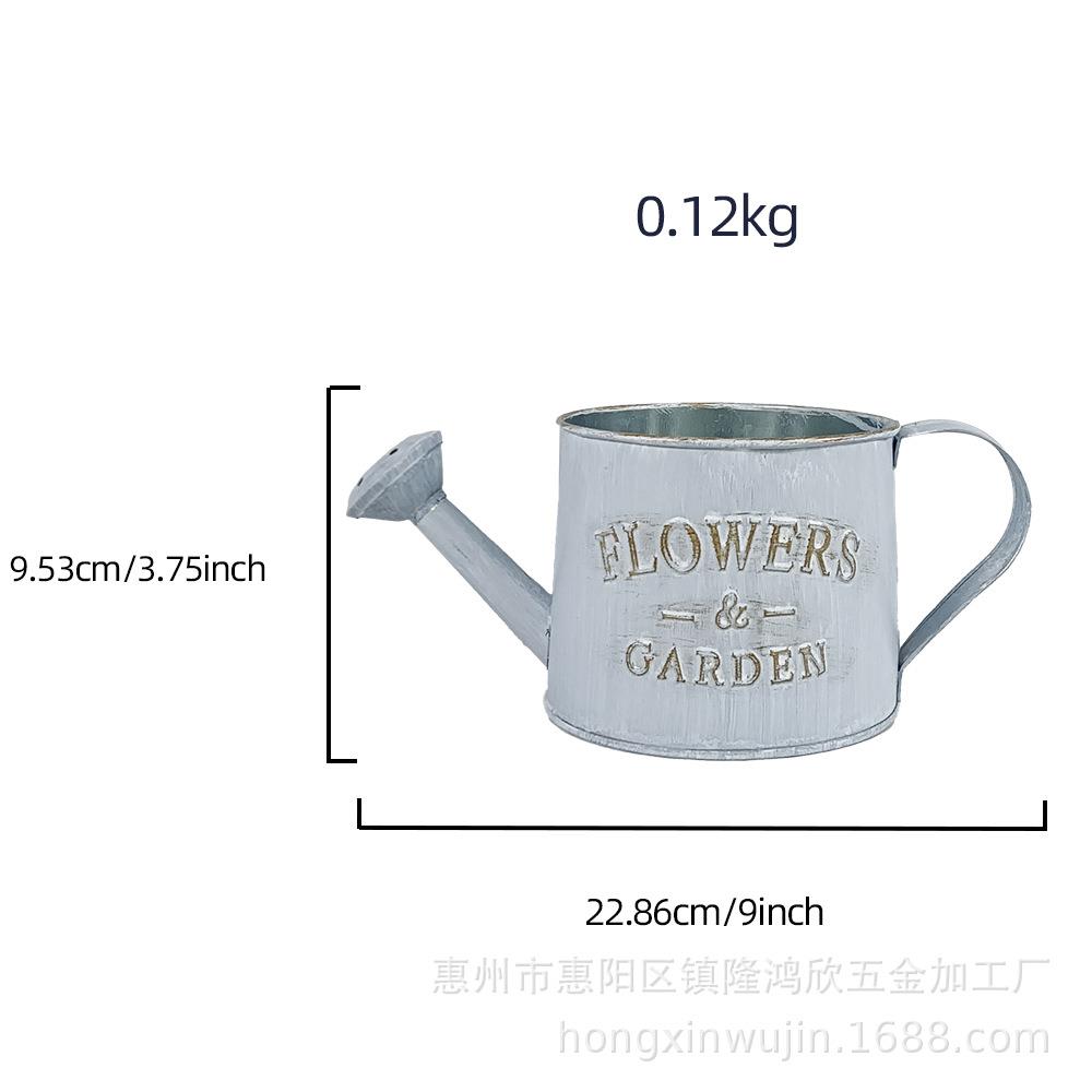 庭院家居专用淋花壶喷壶2025新款园艺养花绿植铁桶浇水壶洒水壶