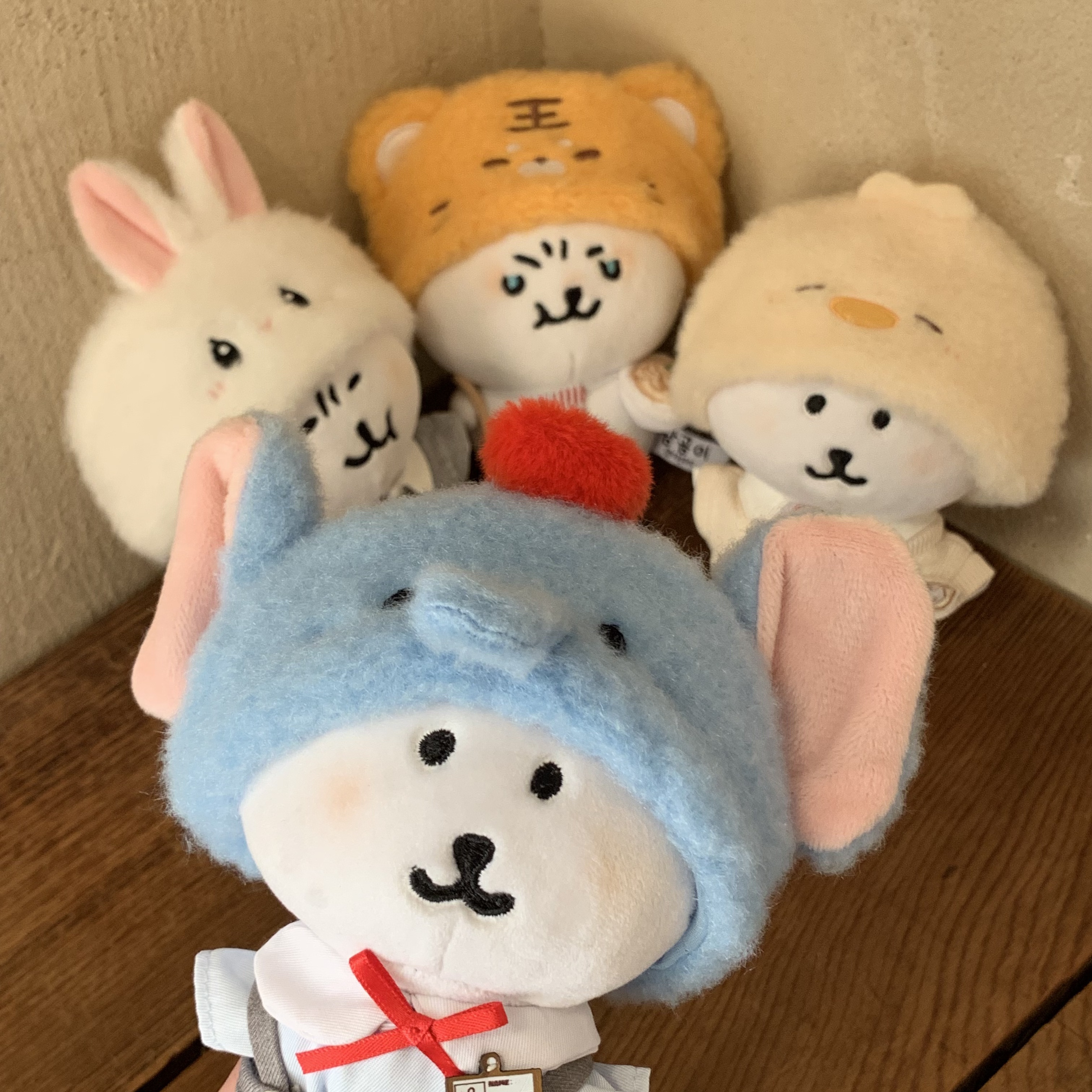 13cm自嘲熊衣服10cm娃衣现货