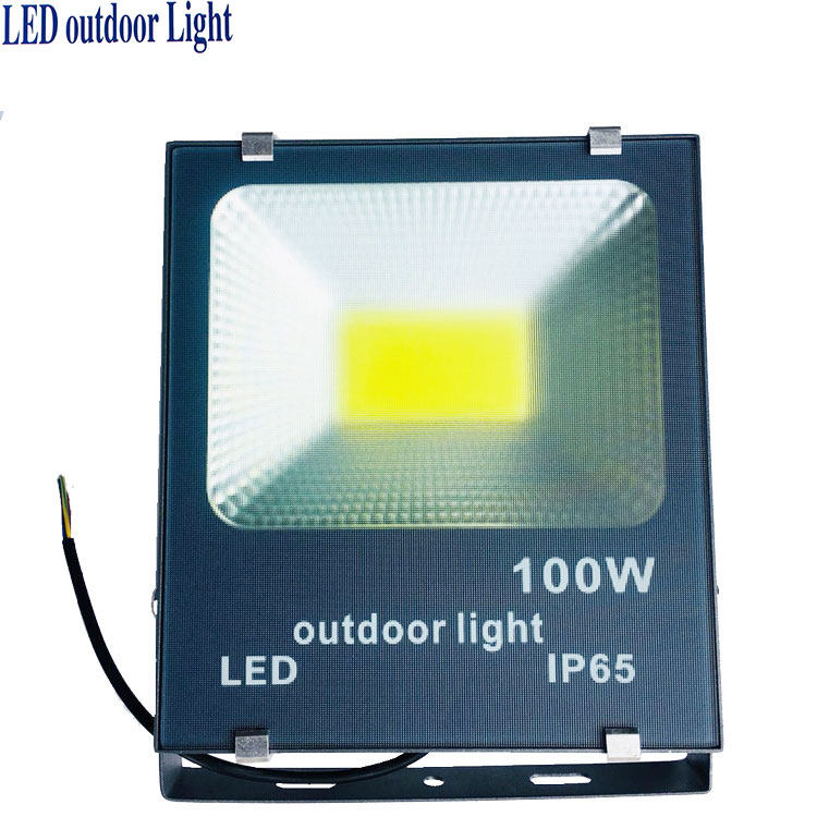 LED超频灯50W 100W投光灯防水照射灯防雷电源驱动加大加厚散热片