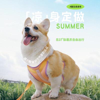 TuffHound它愿狗狗牵引绳夏季狗链子中型犬牵狗绳小型犬胸背透气