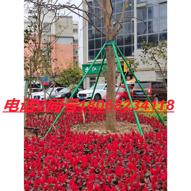 极速镀锌钢管树木支撑架树木支伸缩杆大树防风树支撑园林绿化支架