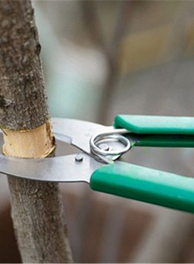 Ring Barking Cutter Scissor Girdling Knife cherry prunning t