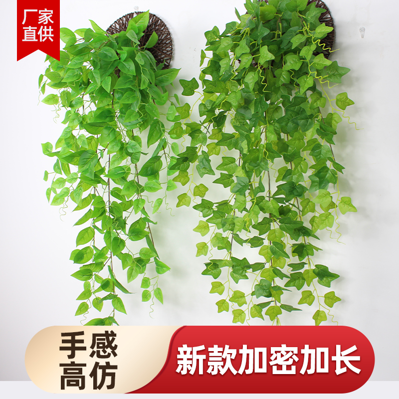 仿真植物绿萝壁挂吊兰假花藤条藤蔓室内墙面阳台管道装饰吊顶美化