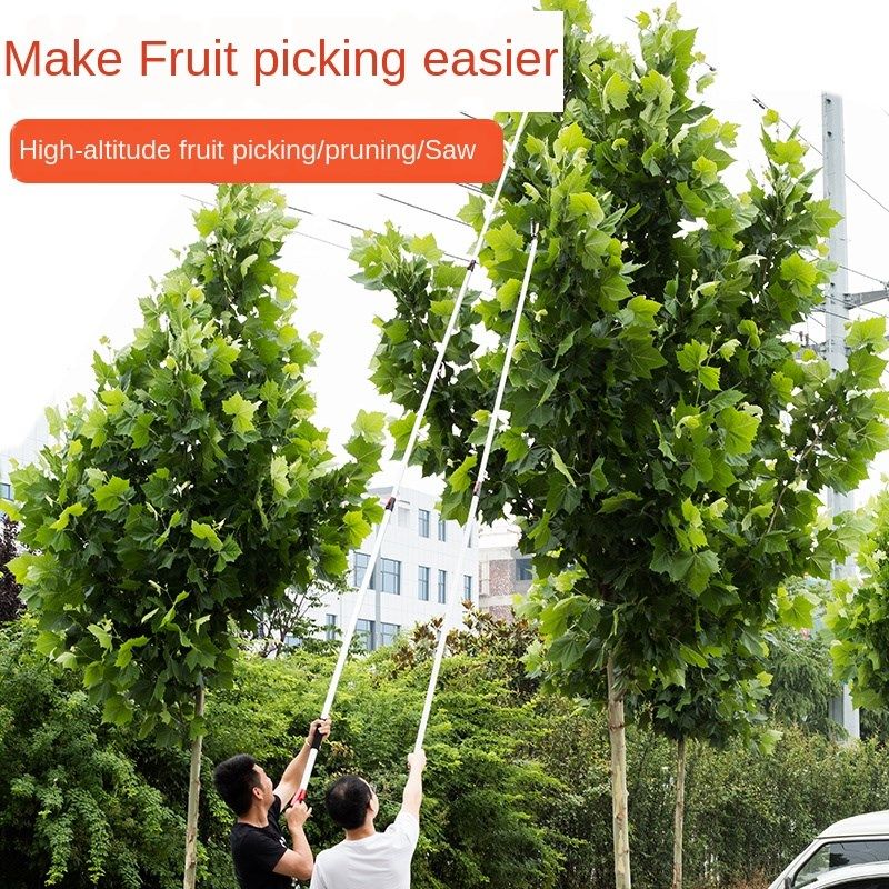 gao zhi jian Pruning Shears Fruit Scissors Picking Shear zha