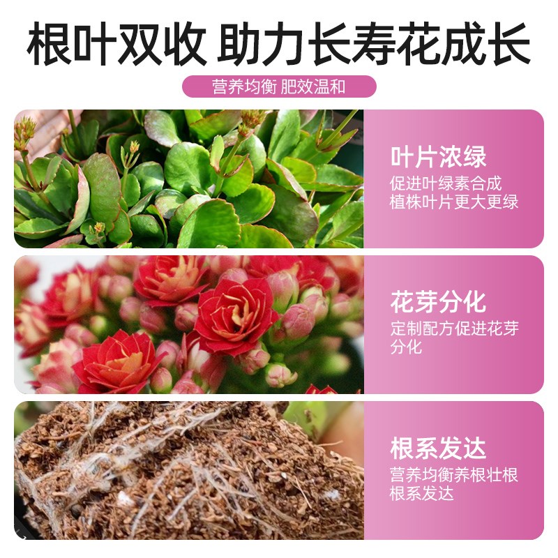 长寿花营养液专用肥水培植物通用型阳台室内盆栽绿植花卉养花肥料