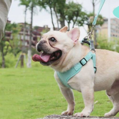 Pet Dog Reflective Harness Vest Cute Harness And Leash Set