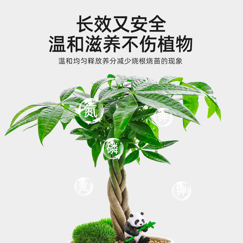 发财树肥料专用肥花肥盆栽家用通用型氮磷钾肥花卉植物颗粒缓释肥