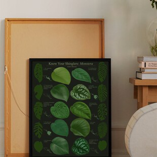 观叶植物图谱f挂画家居绿植角落装饰画客厅沙发背景墙画花店花卉