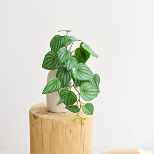 九思仿真绿植壁挂藤叶垂吊兰藤x蔓植物仙洞龟背室内仿生装饰品F64