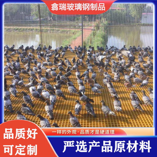 玻璃纤维鸽d舍地网网格格栅板家用鸭舍赛鸽养殖漏粪地格栅鸽棚