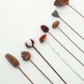 极速ins网红天然干燥花束棉花麦穗永生花真花小清新客厅插花装 饰