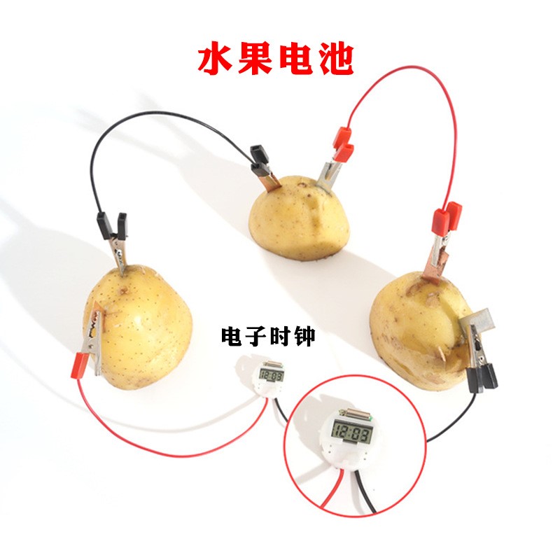 Fruit cell experiment elementary school science and