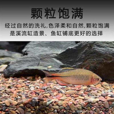 鱼缸底部砂石原生底砂造景沙溪流砂溪流石沙子电龙龟缸天然河沙石
