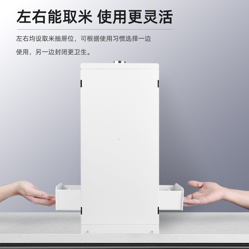 米箱嵌入式拉篮橱柜米桶抽拉家用米柜厨房柜抽屉式米面箱米缸阻尼