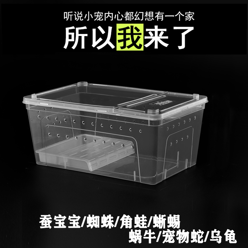 六角恐龙专用鱼缸蝾螈宠物两栖饲养箱守宫小乌龟角蛙饲养盒带盖子