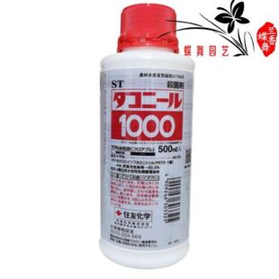 达克灵精兰花分苗伤口处理君子兰黑斑叶斑家庭阳台养兰园艺