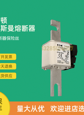 全新快速熔断器保险170M3262 170M3263 170M3264 170M3265
