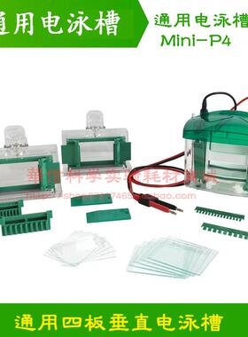 通用美国伯乐 Bio-Rad Mini Protean 小型垂直电泳槽 1658001