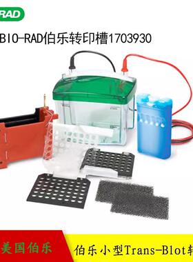 原装伯乐转印槽1703930MiniTrans-Blot Cell小型转印槽Bio-rad
