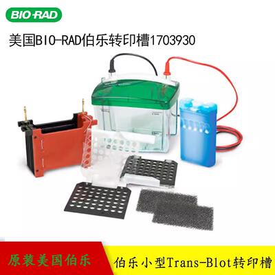 原装伯乐转印槽1703930MiniTrans-Blot Cell小型转印槽Bio-rad
