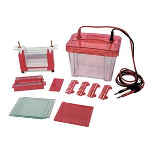 LF一Mini2型 铂金丝直径均为0.3mm 小型垂直电泳槽