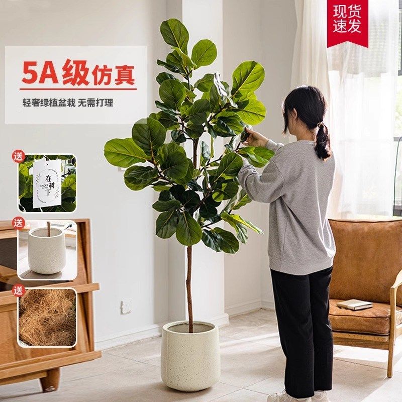 好货仿真绿植高端轻奢琴叶榕室内客厅落地假绿植盆栽仿生绿植装饰