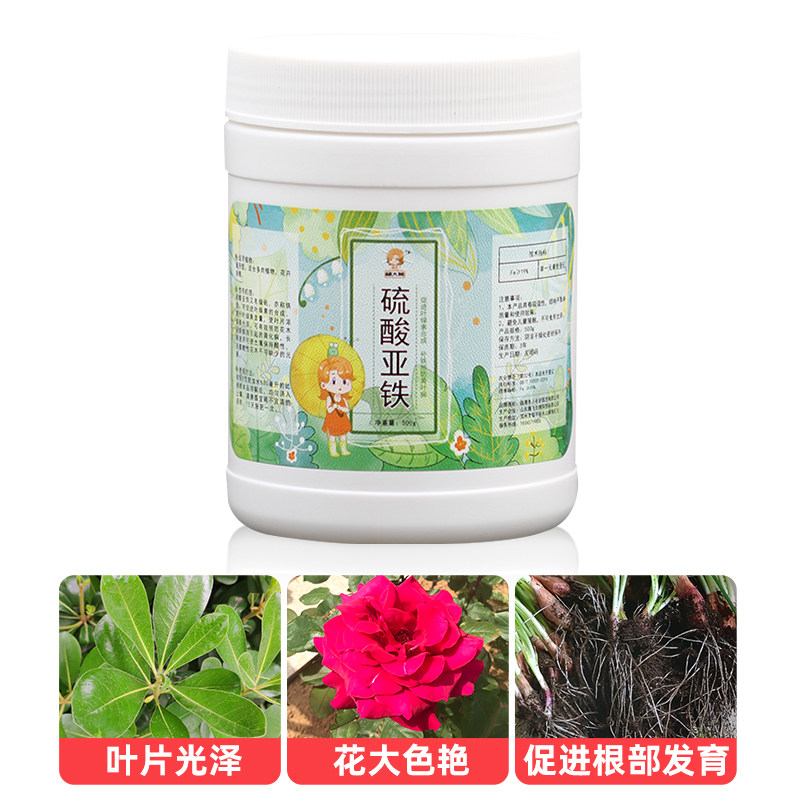 极速硫酸亚铁水溶肥颗粒花肥料通用家用月季绿萝叶面肥补铁防叶子