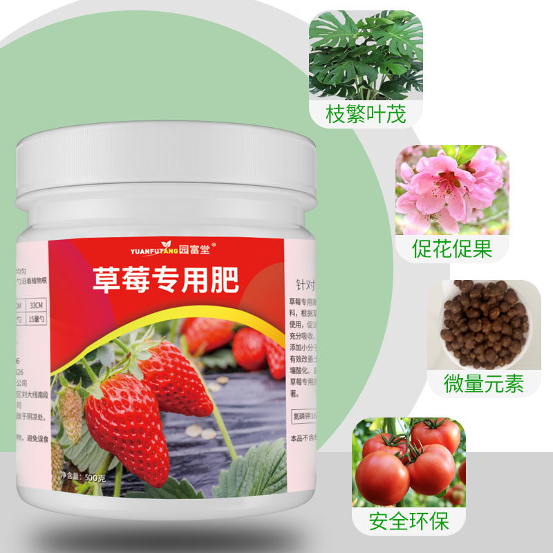 极速草莓肥料专用肥室内盆栽家用颗粒水溶肥膨大增甜有机复合肥通