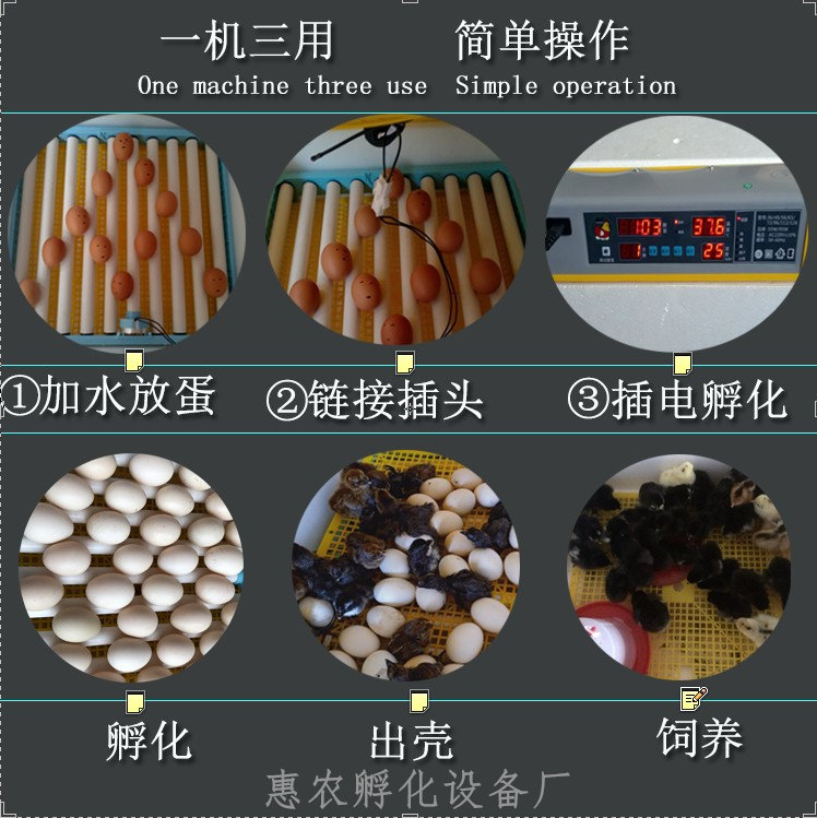 好货孵化鸭子小鸟的孵化箱孵蛋器小型电孵化机抱蛋器鸡化机卵化鸡