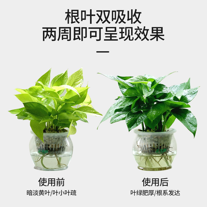 极速绿萝肥料专用营养液水培水养花肥家用盆栽植物通用型养花花卉
