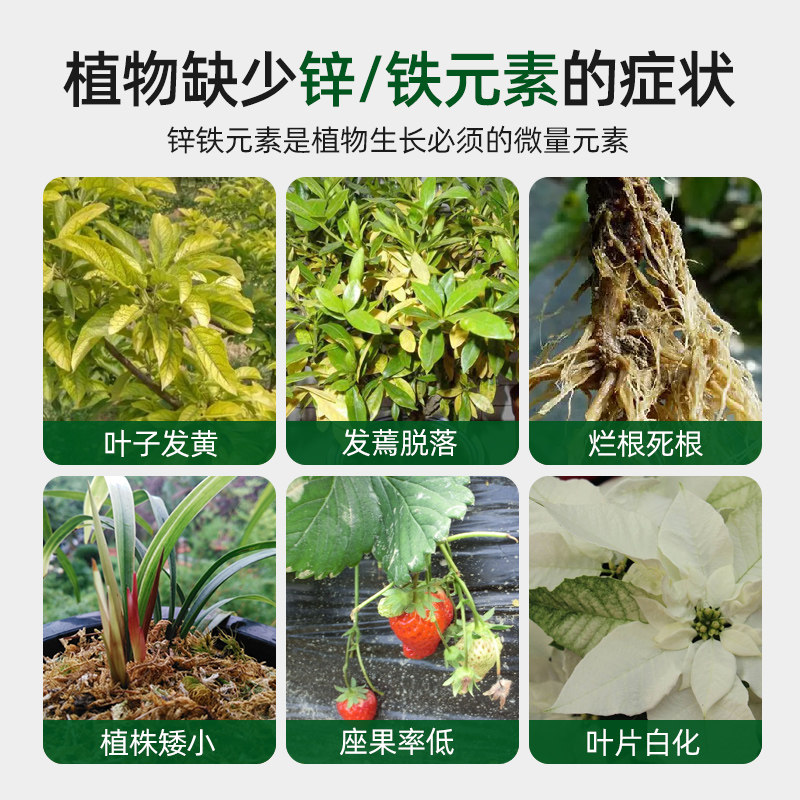 极速螯合锌铁植物黄叶病通用补锌叶面肥绿萝月季花卉果树补铁水溶