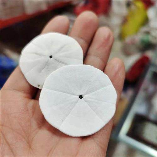 好货1pcs Natural Rare Sea Urchin Shells Scallop Seashell Hom