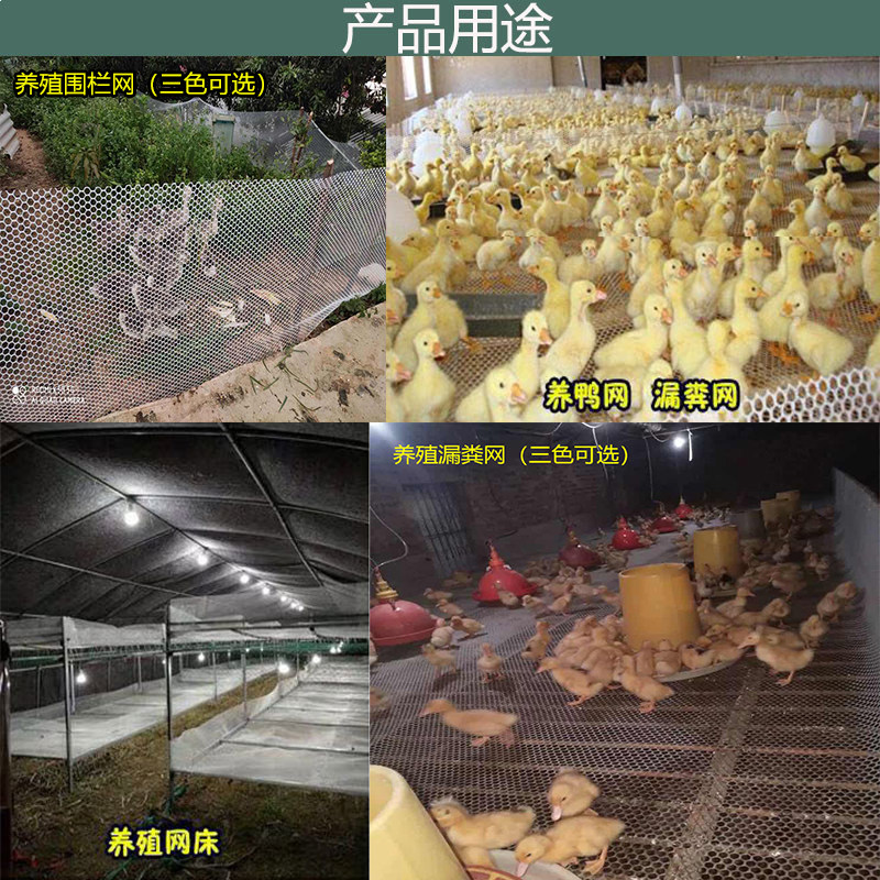 好货绿色塑料平网装饰网封阳台防护防盗窗网养殖鸡鸭鹅育雏漏粪围