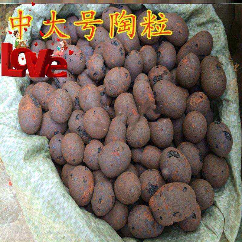极速粗陶粒花用垫底水0培养花多肉花盆铺面透气卫生间回填大号陶