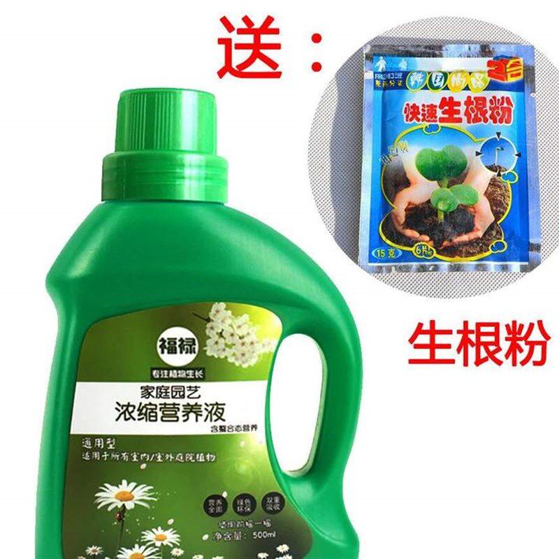 极速铜钱草专用肥料营养肥植物水培养花绿萝吊兰盆栽种花草家用室