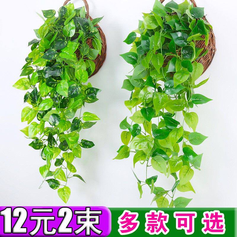 极速假绿箩长藤款 装饰室内吊顶假绿萝叶子葡萄爬藤条树叶塑料花