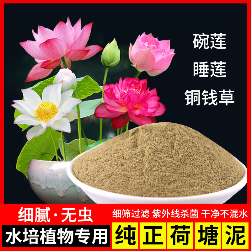 极速荷塘泥碗莲睡莲专用塘泥铜钱草荷花淤泥河泥水生植物通用营养
