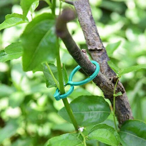 极速50/100/20 Pcs Garden Plant Holder Trellis Clips For Vine