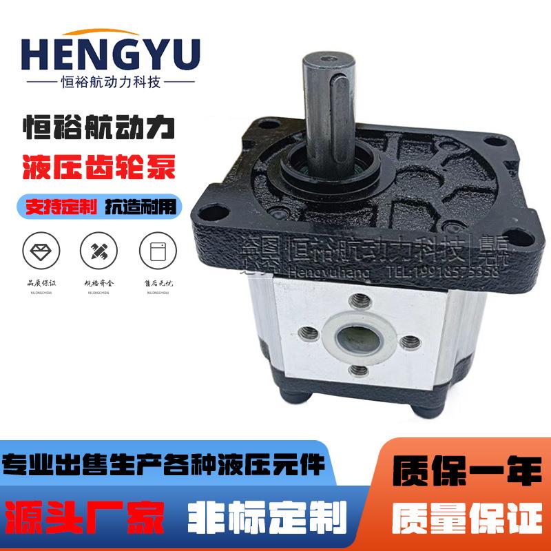高压油泵SDH齿轮泵CBDCBNCBD2CBDCBD3CBT泵CBDs液压油泵