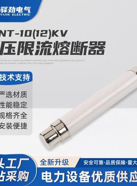 XRNT-10(12)KV3.15-40A高压熔断器保险管箱变保险管丝熔体限流